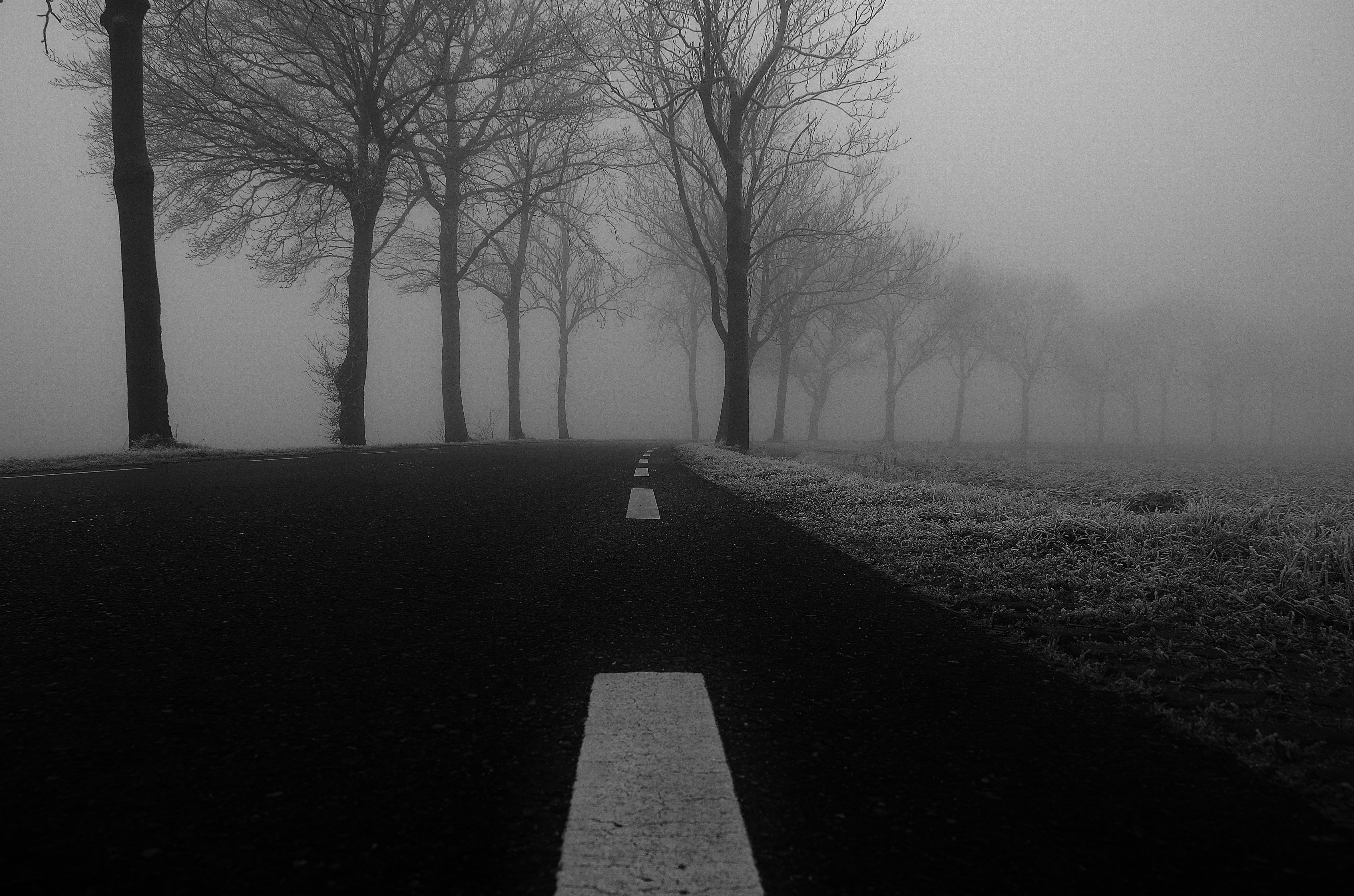 avenue black and white cold 4241 Wallpapers HD / Desktop and Mobile Backgrounds