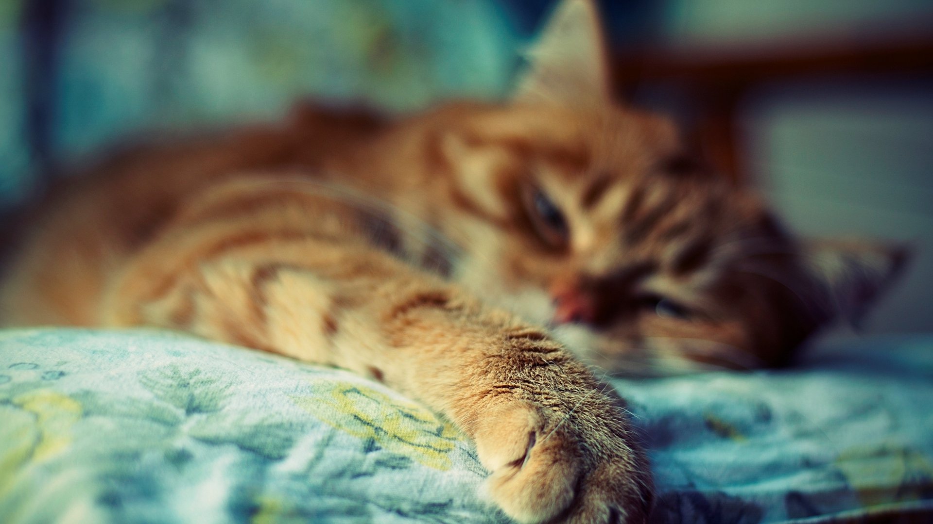 260161920x1080 Wallpaper