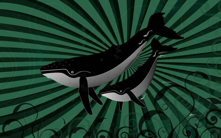 d51f9411 bf58 4d08 b92f 769ce4a593ac HD Wallpaper Desktop Background