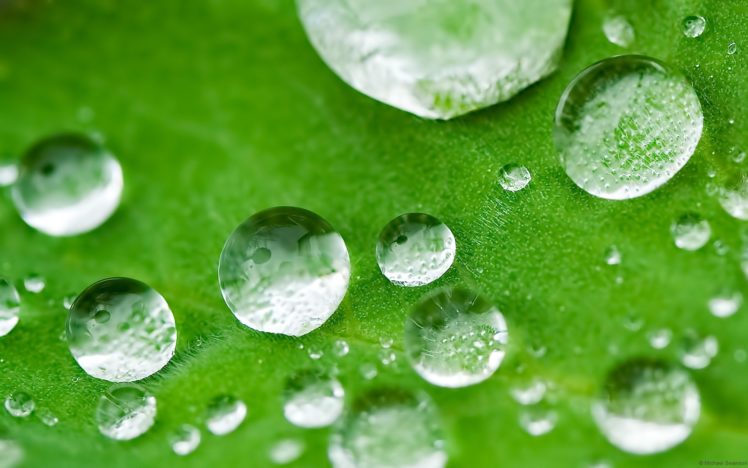 db19254d 8fdd 4573 b6fd 88d49c720938 HD Wallpaper Desktop Background
