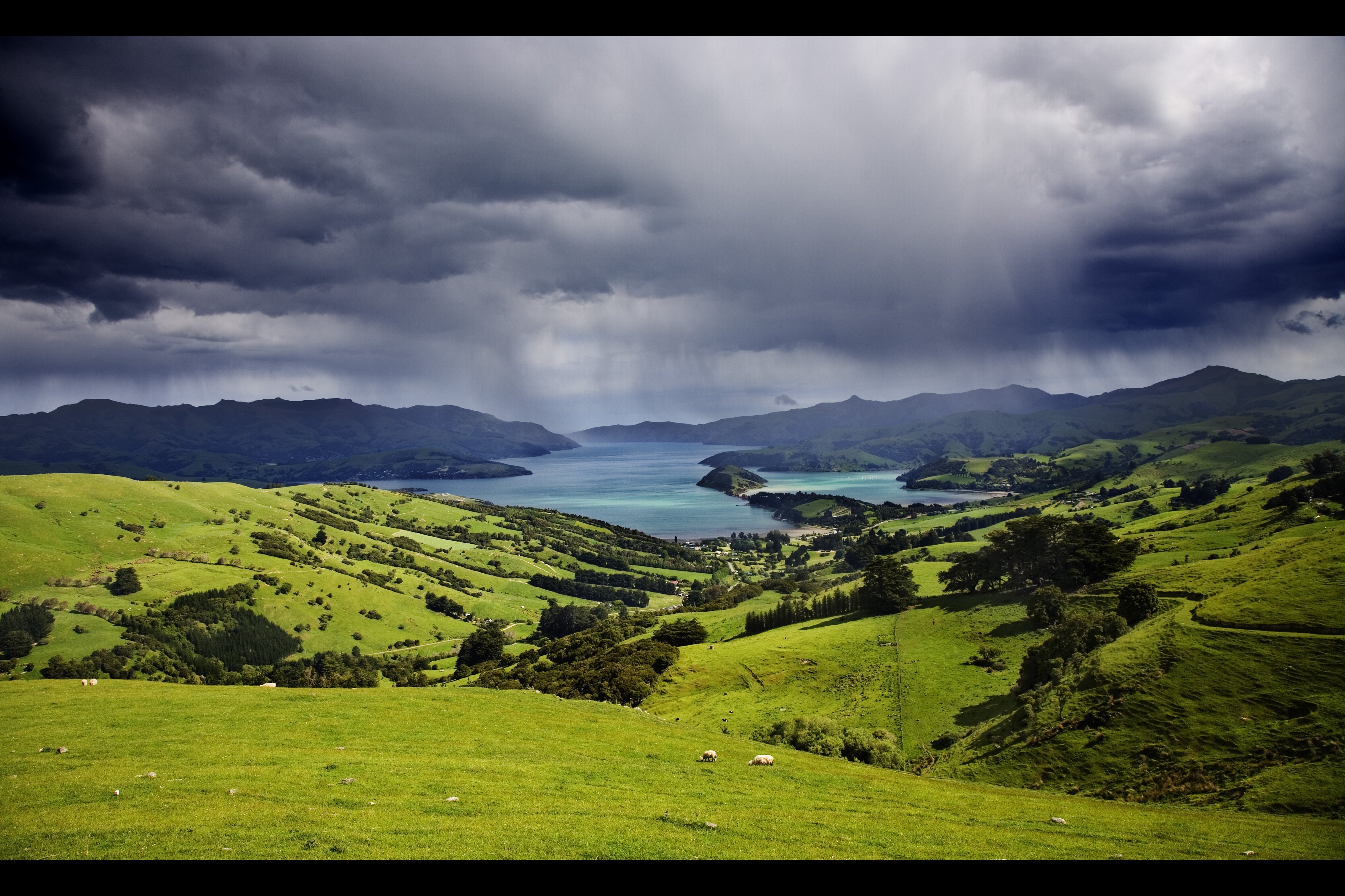 img, 994 Wallpaper