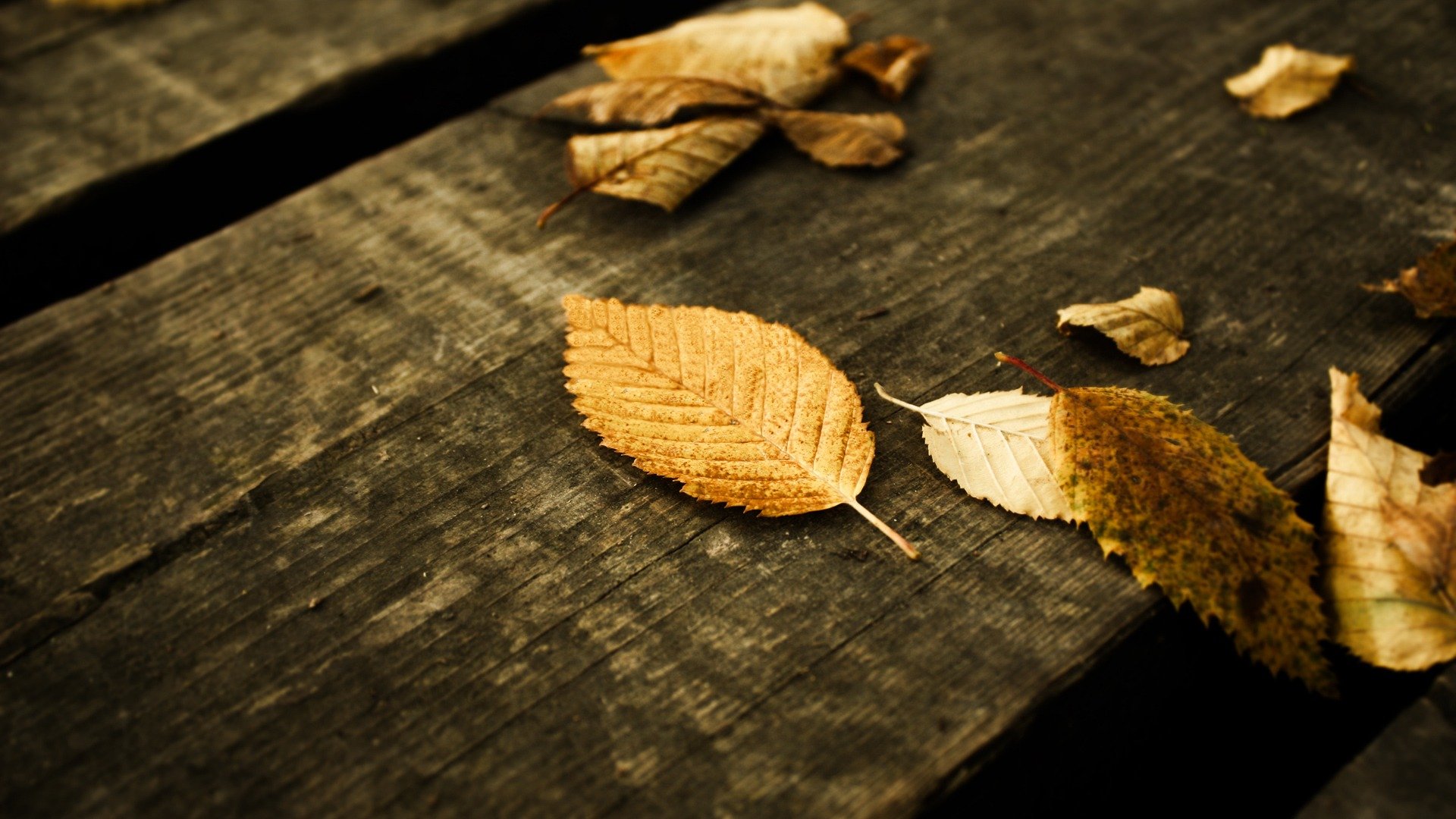 img440 Wallpaper