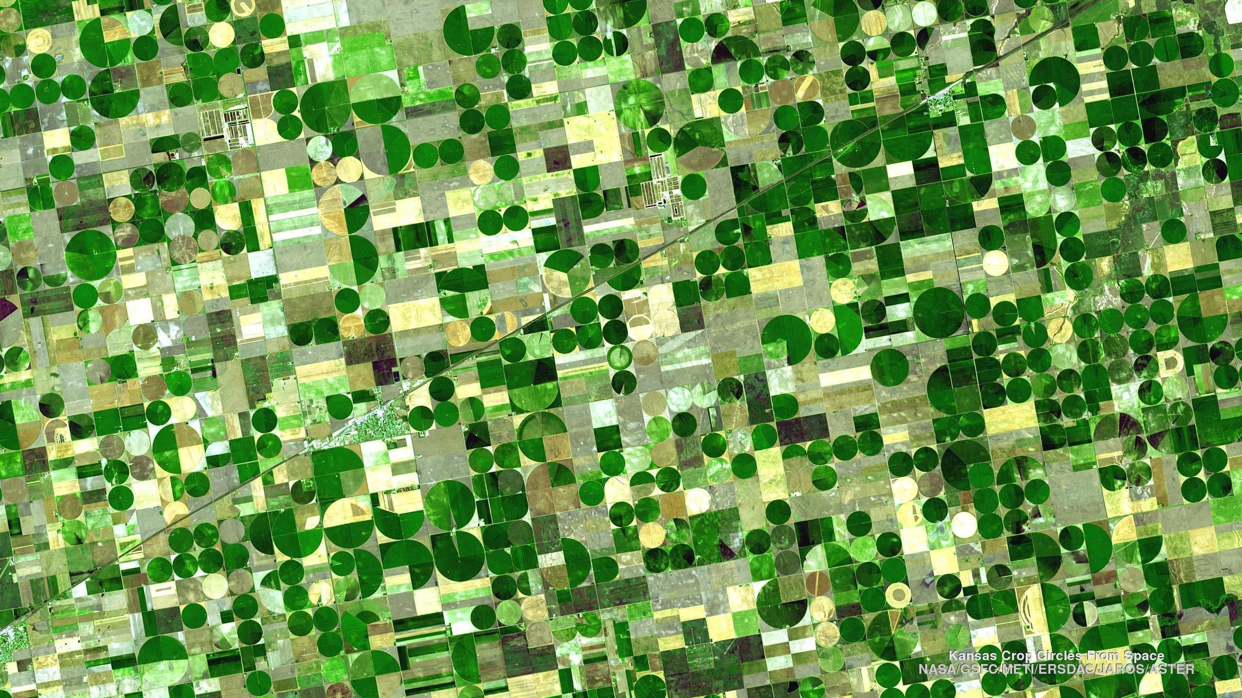kansas, Crop, Circles, From, Space Wallpaper