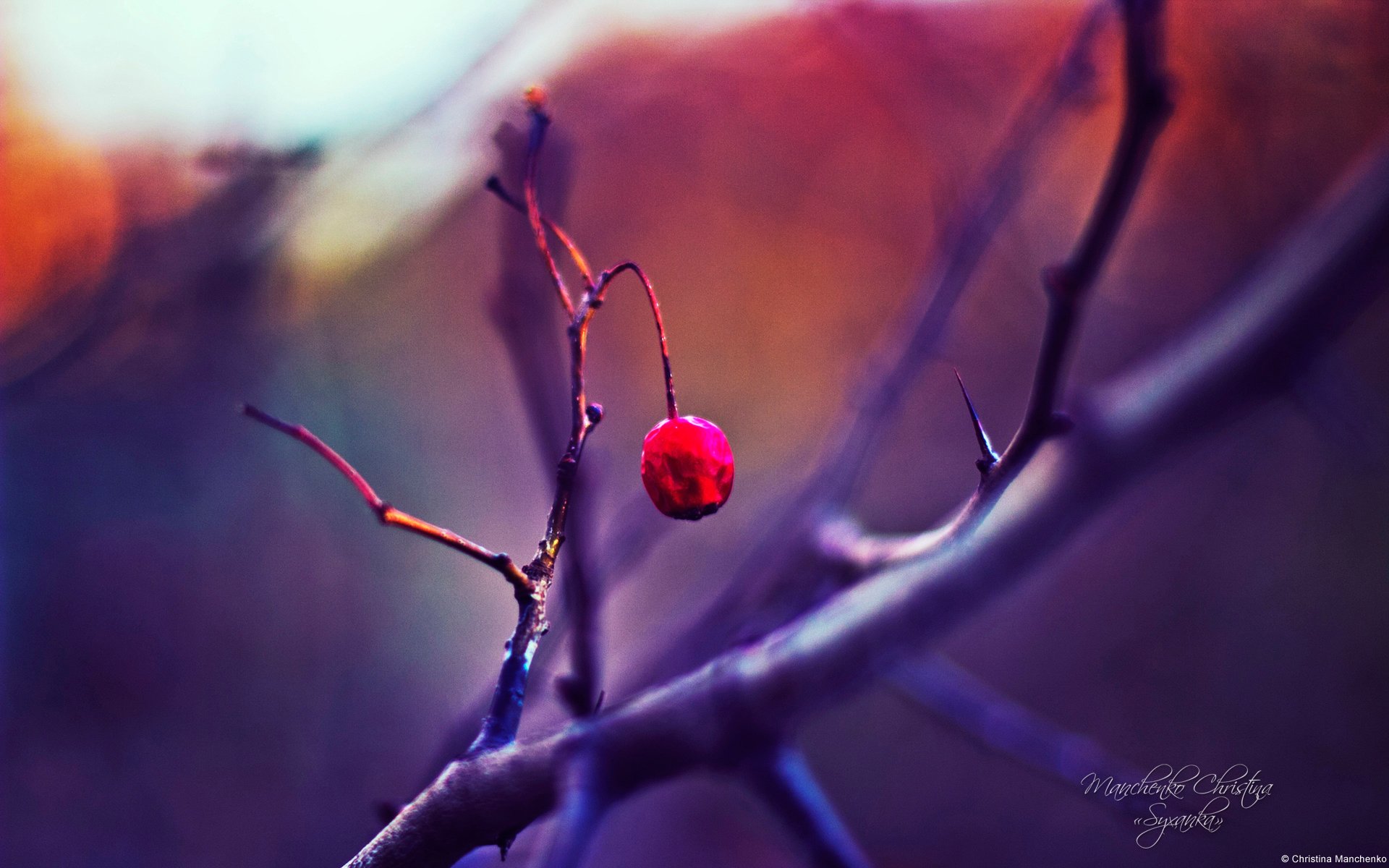 01defee4 da8a 4cf2 9a7a 4284730a72eb Wallpaper