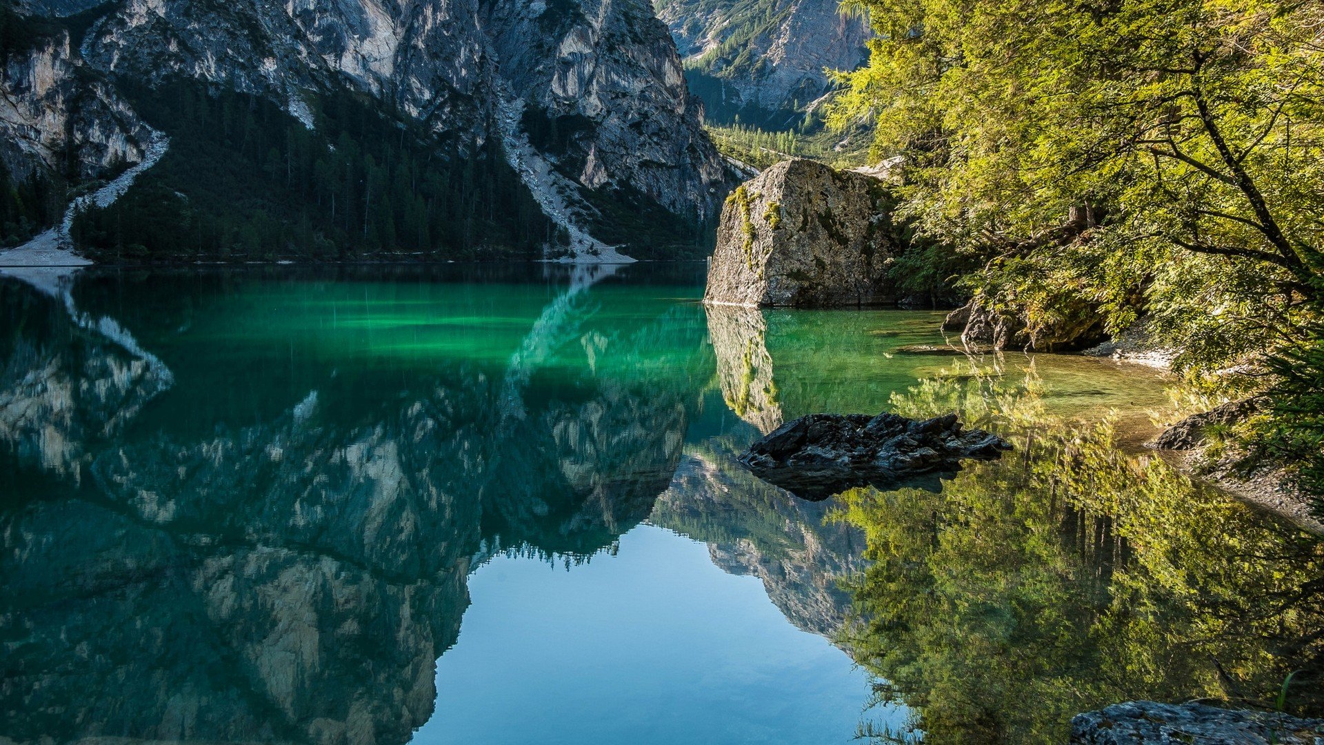 naturaleza, Lago, Bosque Wallpaper