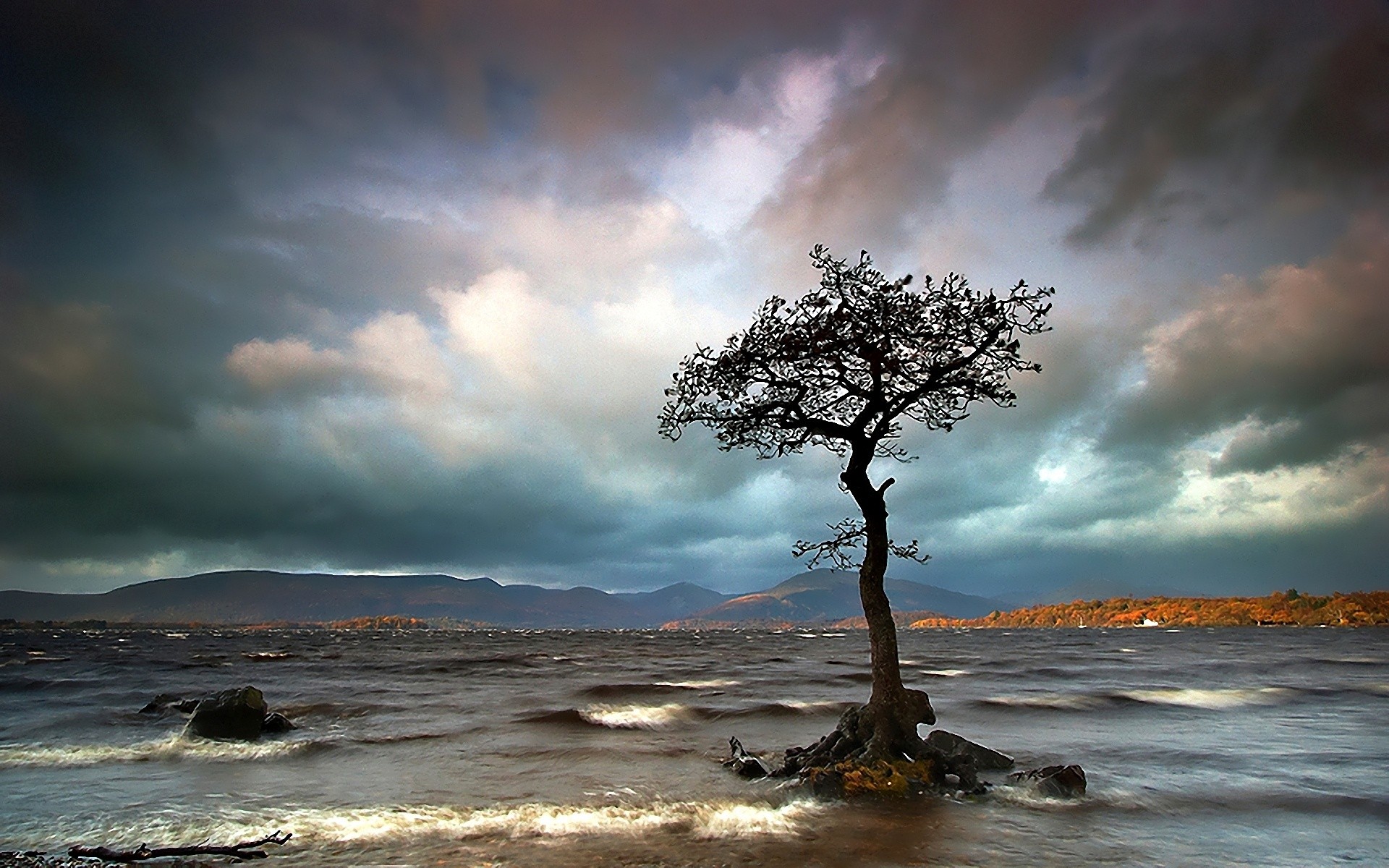 clouds, Trees, Waves, Seascapes Wallpaper