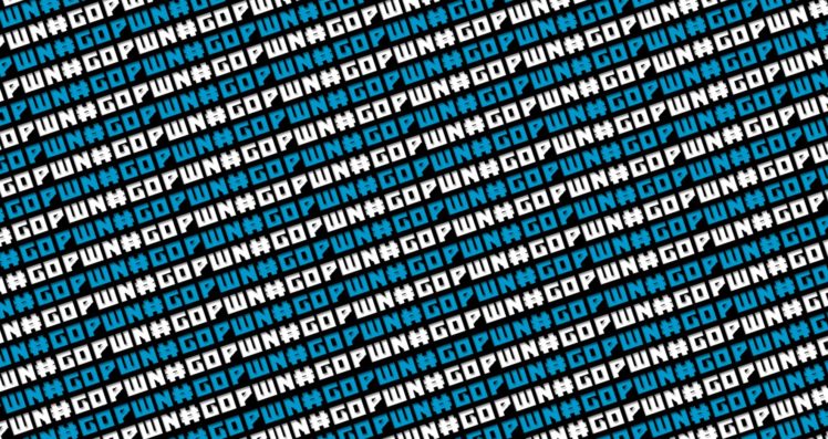 pwn, Gogo HD Wallpaper Desktop Background