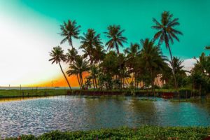 kochi, Kerala, Blues, Back, Water, Lagoons, Sunset, Beach, Ship, Channels, Chinese, Nets, Skyscraper, Water, City,  10