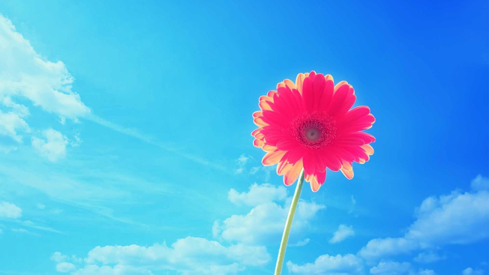 nature,  19 Wallpaper