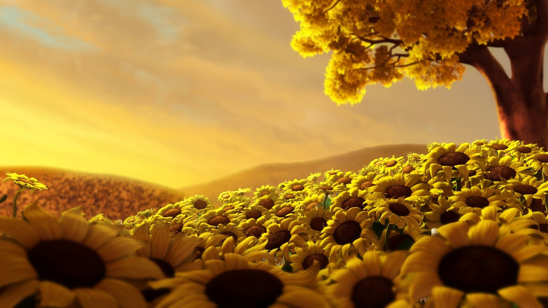 nature,  25 Wallpaper