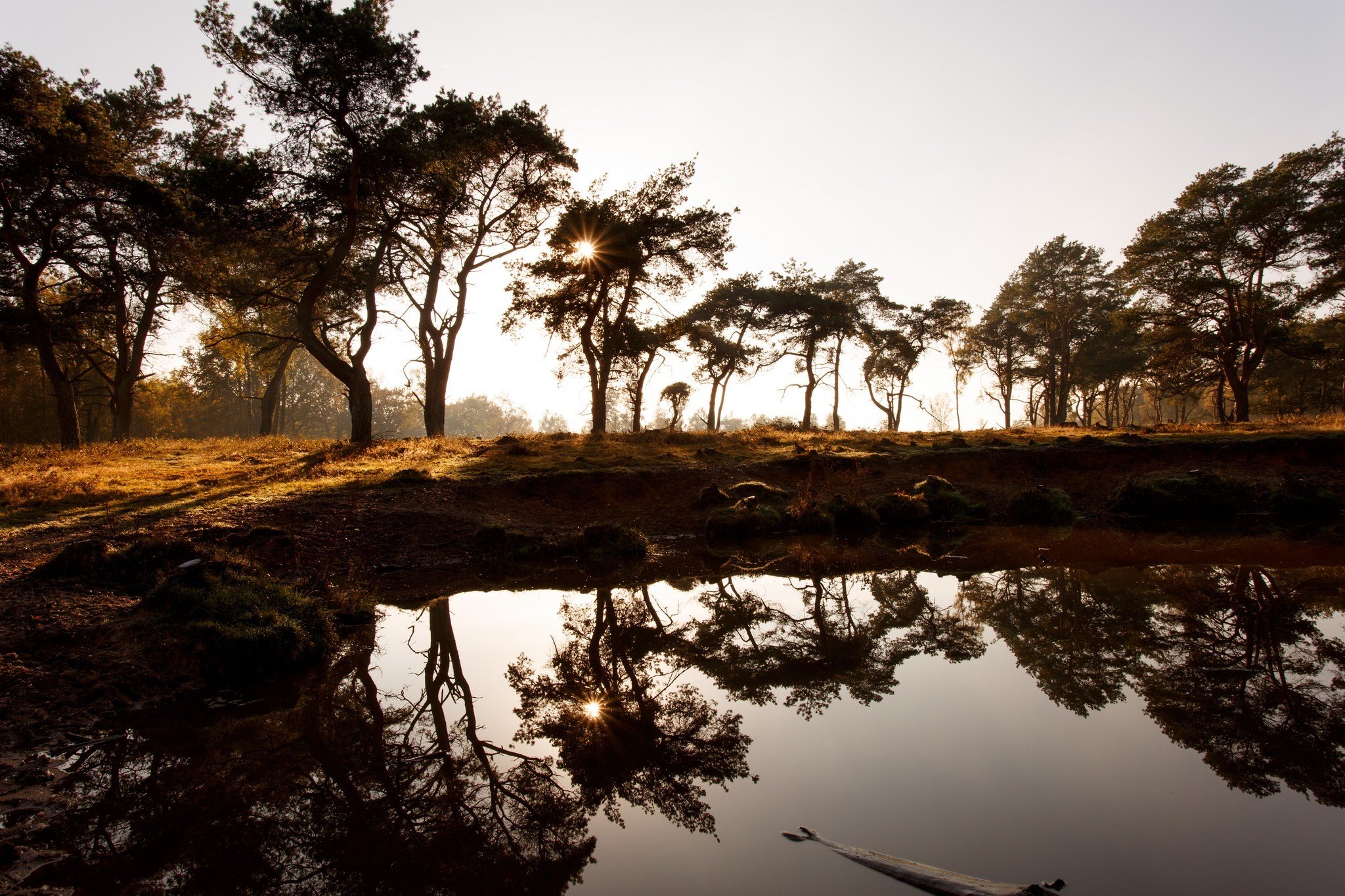 far, View, Lake, Landscape, Nature, Photography, Reflection, Rocks, Sun, Trees Wallpaper