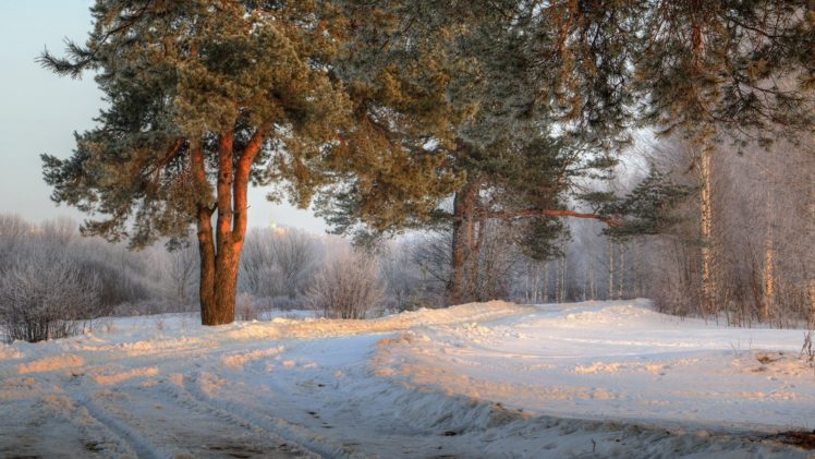 landscape, Morning, Nature, Photography, Road, Russia, Shrubs, Snow, Sunlight, Trees, Winter HD Wallpaper Desktop Background