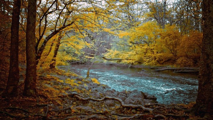 nature, River, Autumn, Tree HD Wallpaper Desktop Background