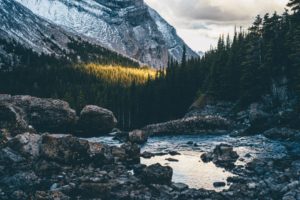 forest, Landscape, Mountains, Nature, Rock, Water