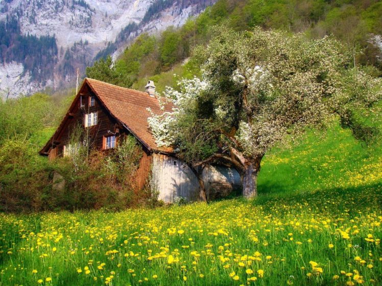 cottage, Flowers, Landscape, Mountains, Nature, Photography, Shrubs, Spring, Swiss, Alps, Trees HD Wallpaper Desktop Background