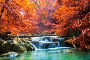 colorful, Fall, Forest, Landscape, Nature, Red, River, Sun, Rays, Thailand, Trees, Tropical, Waterfall