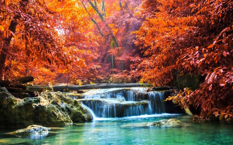 colorful, Fall, Forest, Landscape, Nature, Red, River, Sun, Rays, Thailand, Trees, Tropical, Waterfall HD Wallpaper Desktop Background