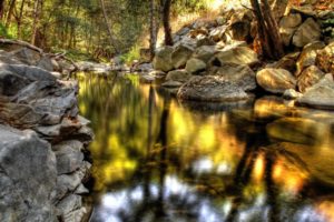 nature, Forest, Woods, Streams, Hdr, Photography