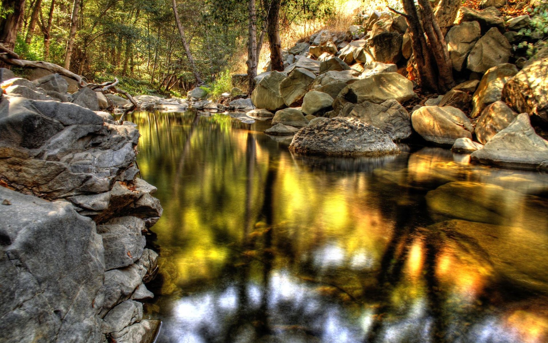 nature, Forest, Woods, Streams, Hdr, Photography Wallpaper