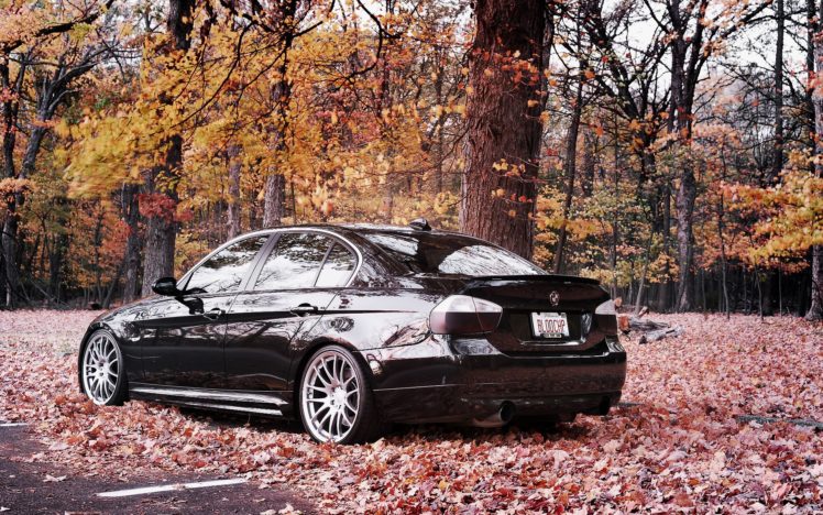 bmw, Autumn, Cars HD Wallpaper Desktop Background
