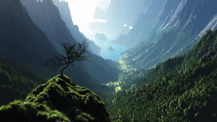 bosque, Valle, Montay HD Wallpaper Desktop Background