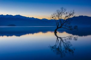 nature, Landscape, Calm, Bluewater, Trees, Lake, Reflection