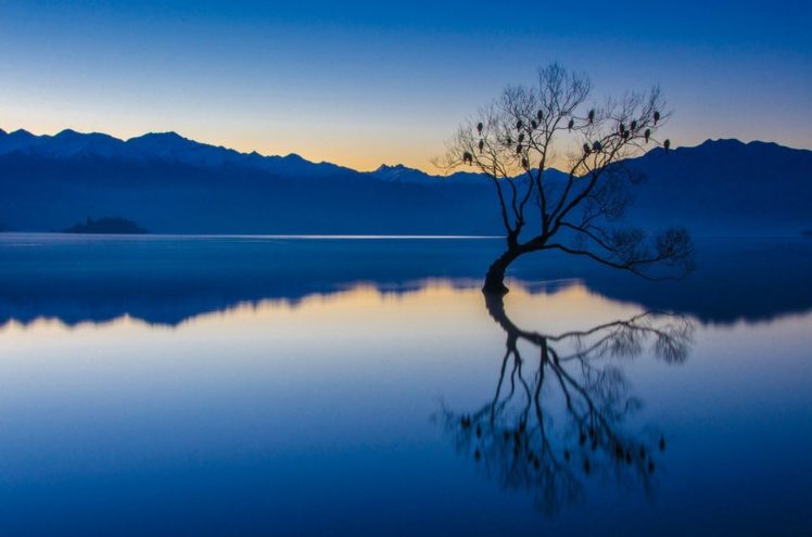 nature, Landscape, Calm, Bluewater, Trees, Lake, Reflection HD Wallpaper Desktop Background
