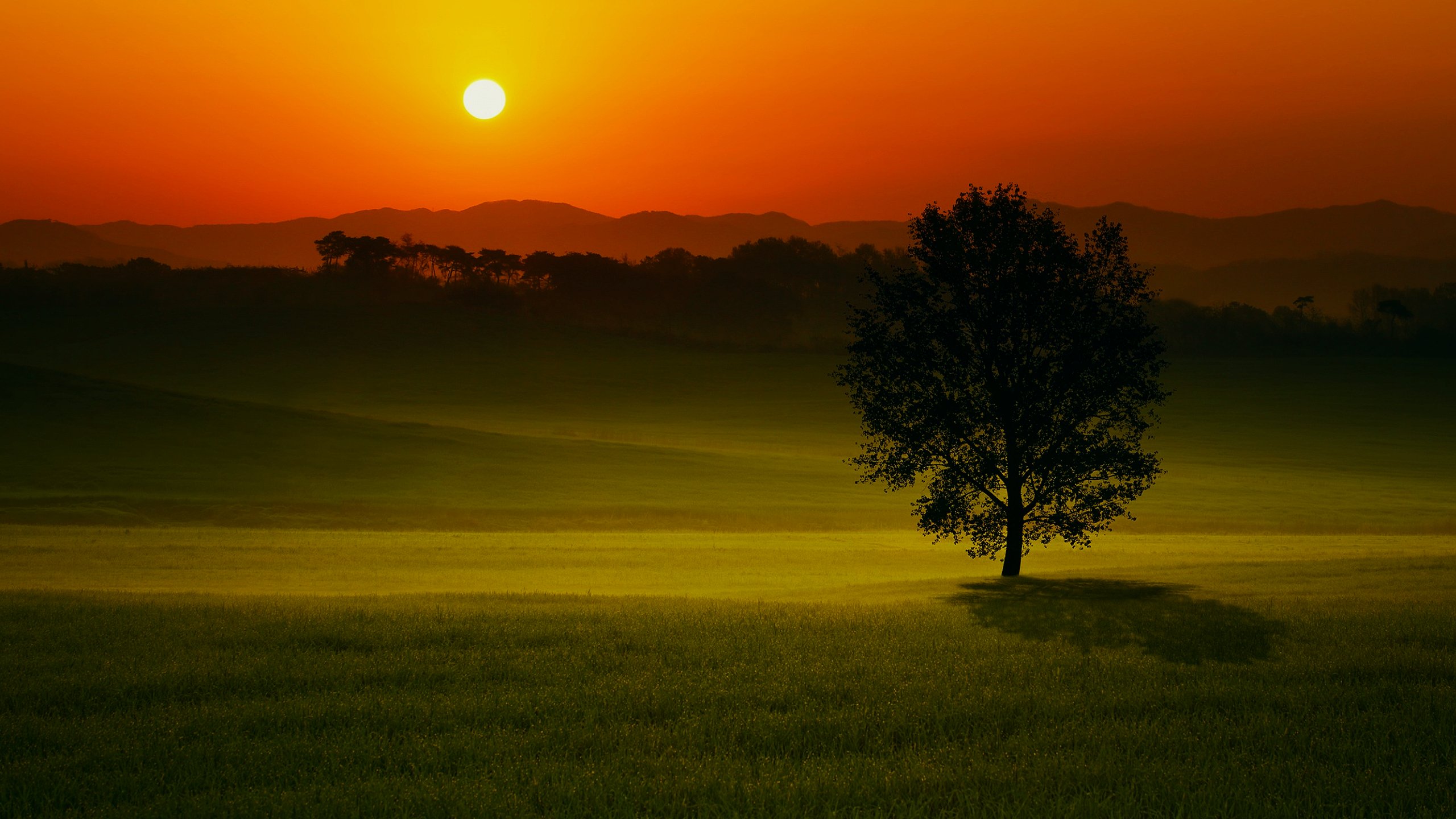 10803 Wallpaper