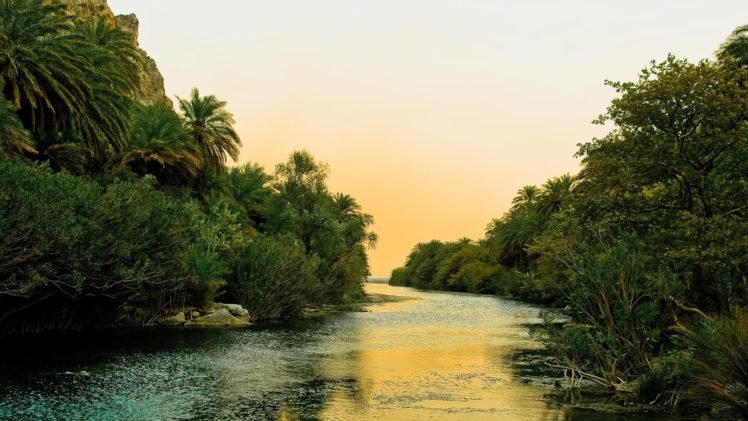 rio, Selva, Naturaleza, Arboles HD Wallpaper Desktop Background