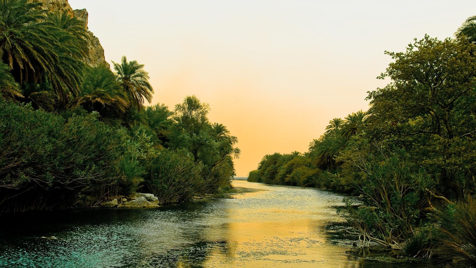 rio, Selva, Naturaleza, Arboles Wallpaper