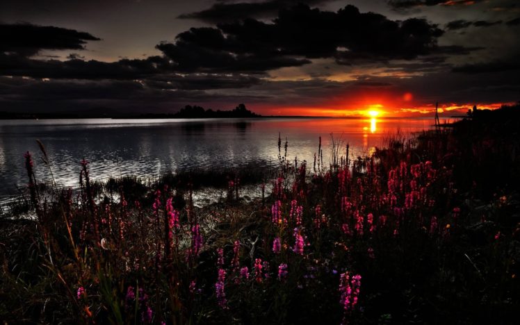 clouds, Flowers, Nature, Sunset HD Wallpaper Desktop Background
