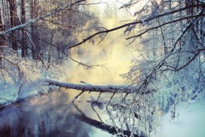 nature, Snow, Trees, Fog, Rivers