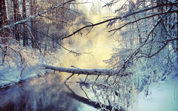 nature, Snow, Trees, Fog, Rivers HD Wallpaper Desktop Background