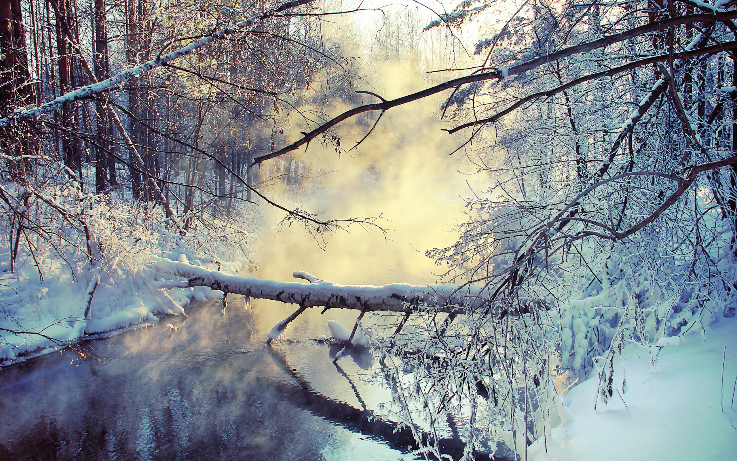 nature, Snow, Trees, Fog, Rivers Wallpaper