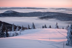 clouds, Landscapes, Nature, Winter, Snow, Trees, Forest, Fog, Skyscapes