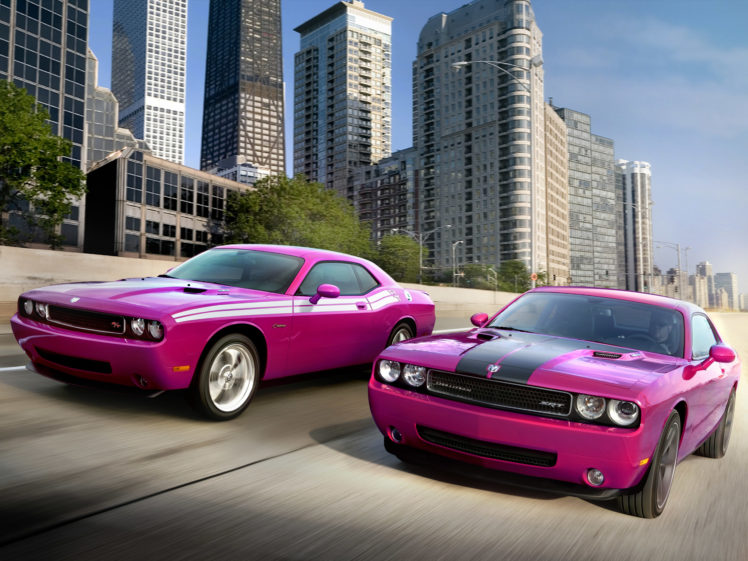 2010, Dodge, Challenger, Furious, Fuchsia, Muscle, Srt, R t HD Wallpaper Desktop Background