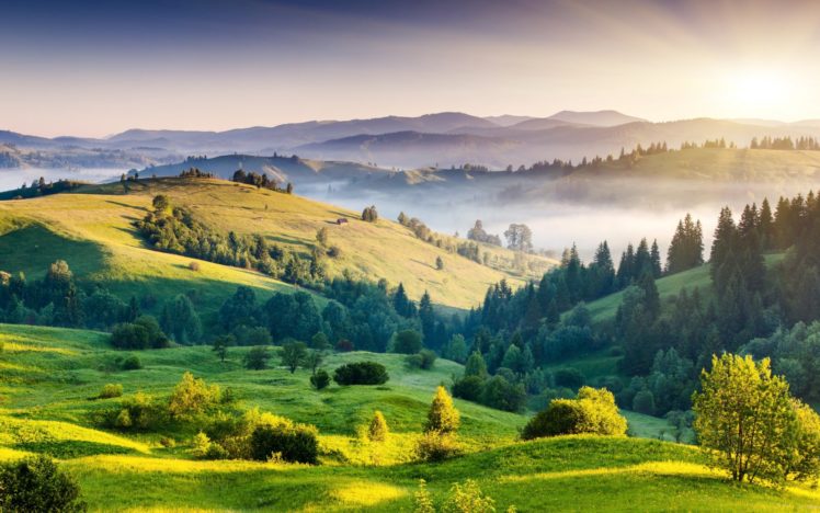 landscape, Nature, Hills, Trees, Foliage, Fog, Sunrise, Sun HD Wallpaper Desktop Background