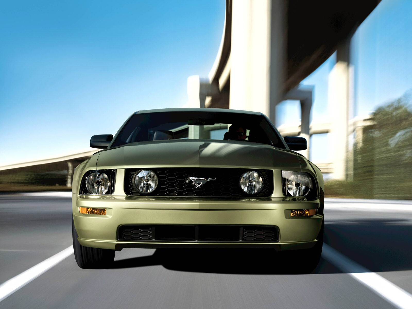 2006, Ford, Mustang, Individual, Muscle, Tuning, Supercar, Supercars Wallpaper