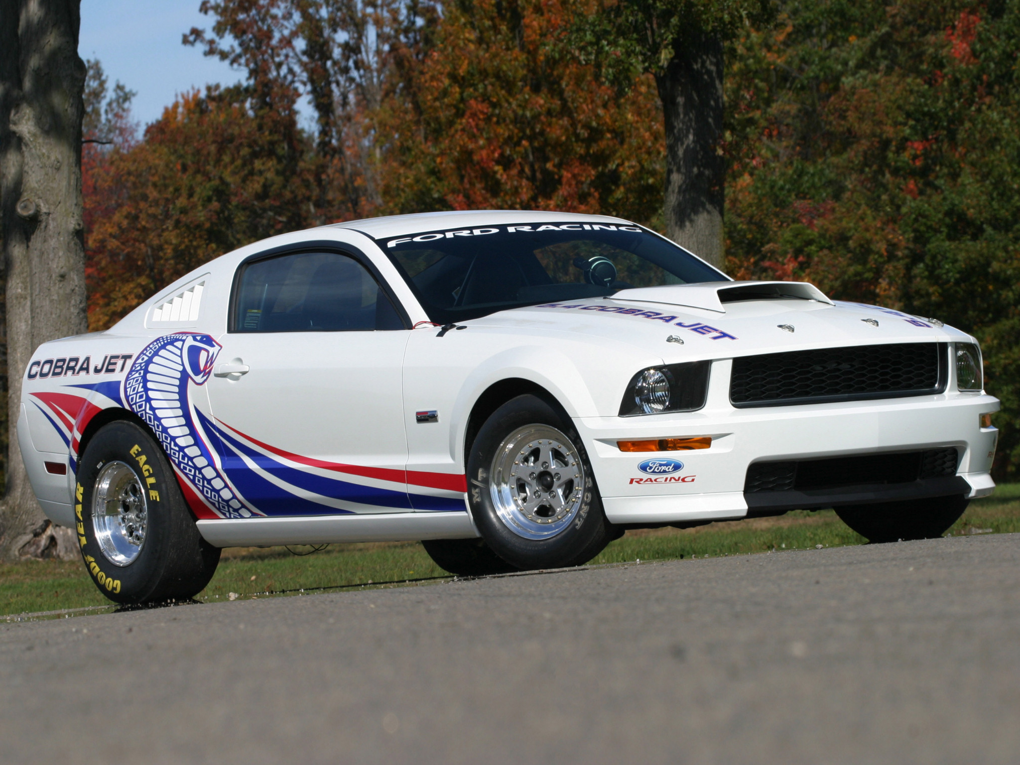 2008, Ford, Mustang, Fr500, Cobra, Jet, Muscle, Hot, Rod, Rods, Drag ...