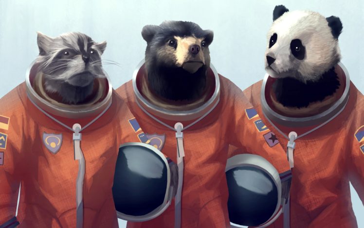 animals, Panda, Bears, Creative, Artwork, Bears, Cosmonaut, Furry, Fandom, Racoon, Furry HD Wallpaper Desktop Background