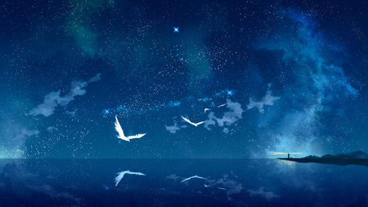 original, Animal, Bird, Night, Original, Scenic, Sky, Stars, Tokumu, Kyuu, Water, Reflection, Mood, Bokeh HD Wallpaper Desktop Background