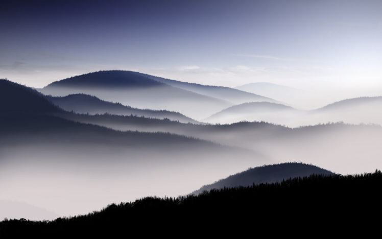 fog, In, The, Valley HD Wallpaper Desktop Background