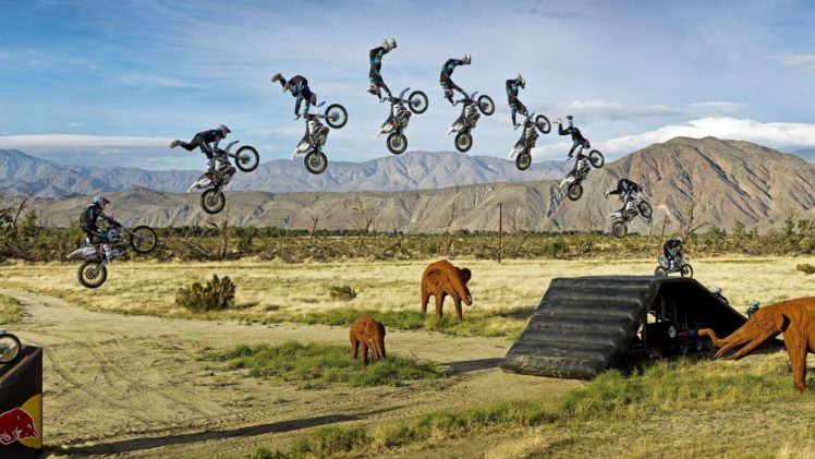 stop, Action, Jump, Motorcycle, Stunt, Extreme, Elephant, Elephants, Motocross, Sports, Bike HD Wallpaper Desktop Background