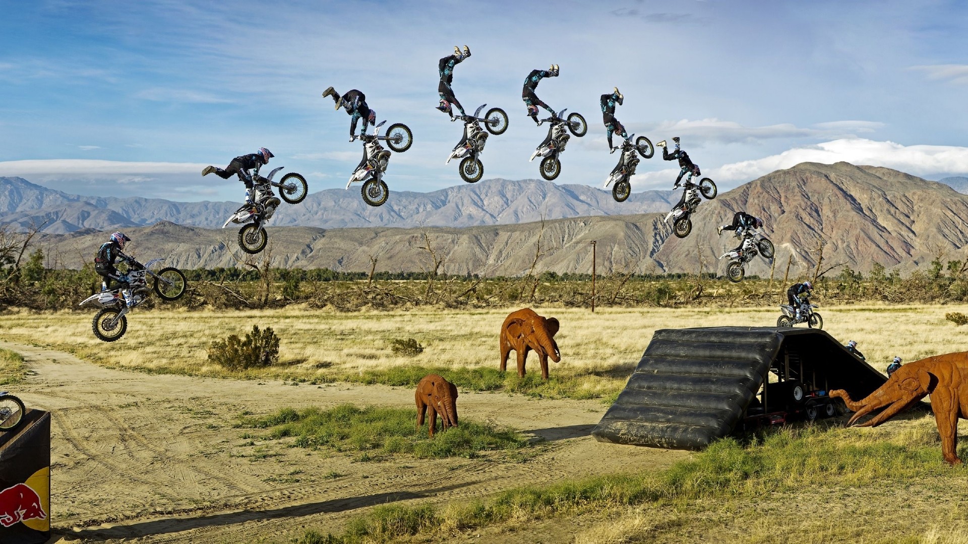 stop, Action, Jump, Motorcycle, Stunt, Extreme, Elephant, Elephants, Motocross, Sports, Bike Wallpaper