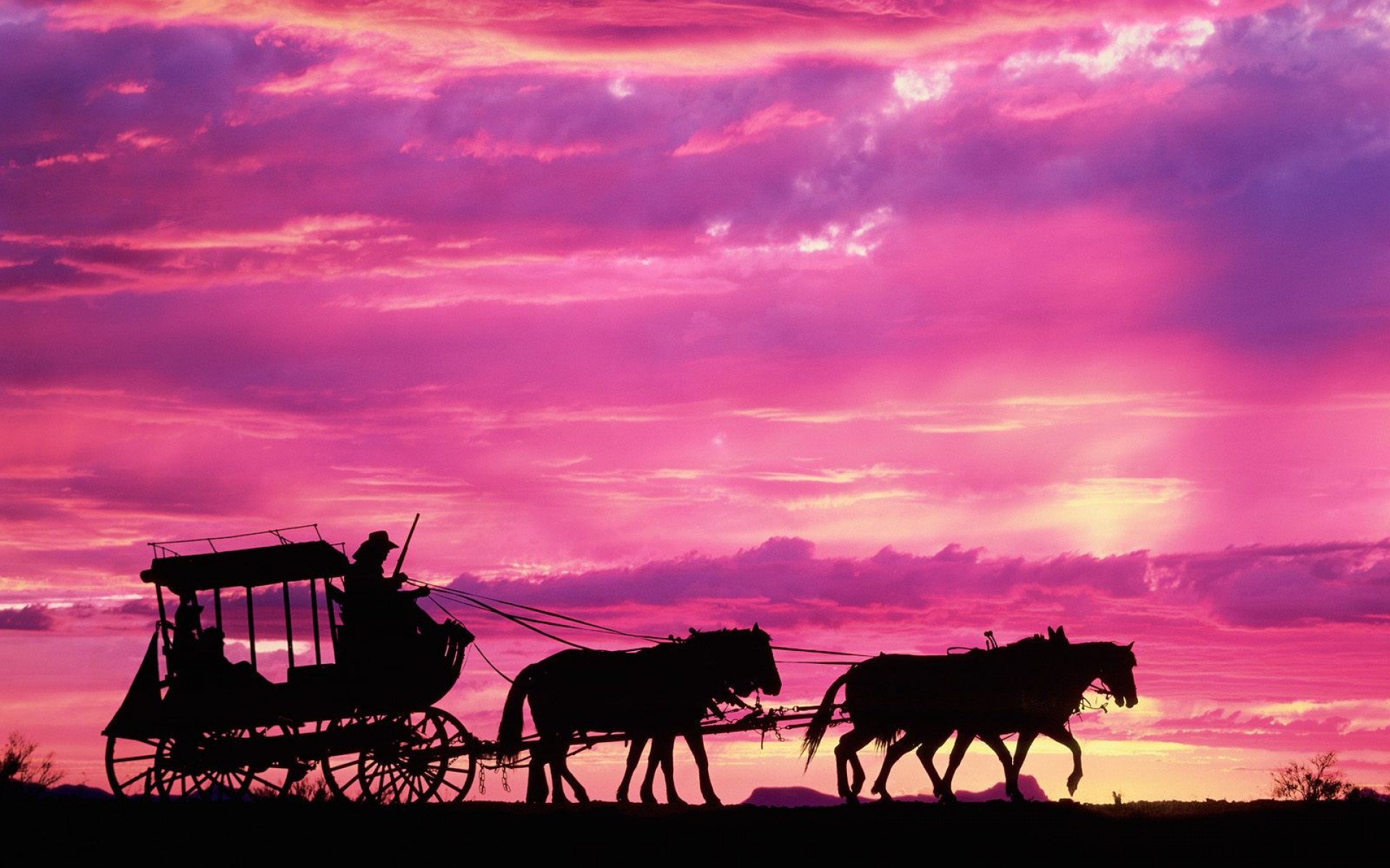 carriage, In, Sunset Wallpaper