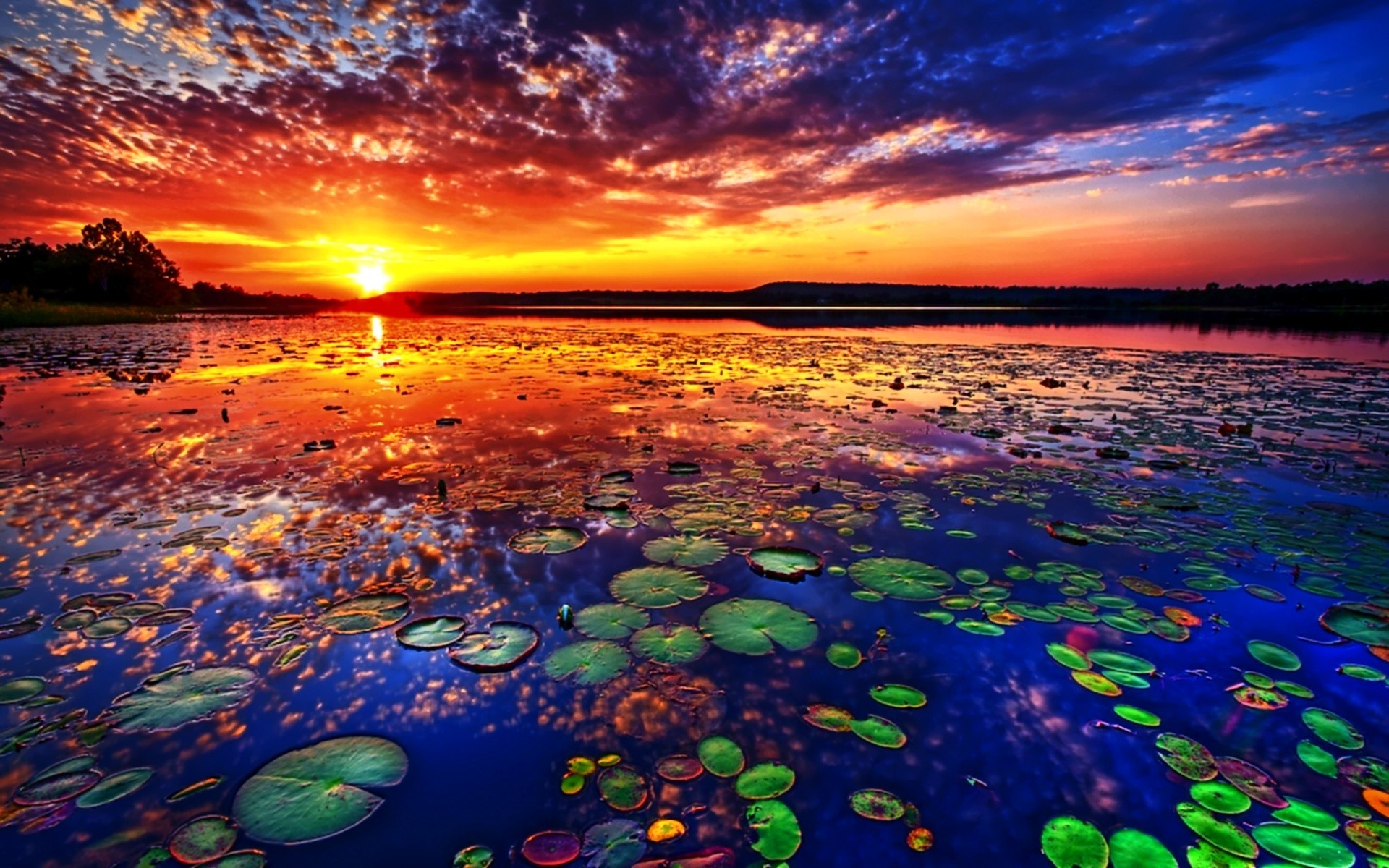 nature Wallpaper