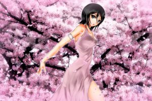 cherry, Blossoms, Bleach, Blossoms, Kuchiki, Rukia, Anime