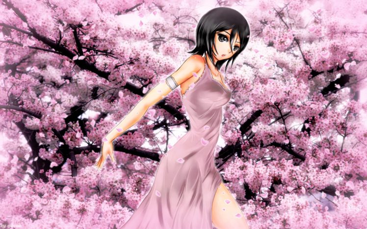 cherry, Blossoms, Bleach, Blossoms, Kuchiki, Rukia, Anime HD Wallpaper Desktop Background