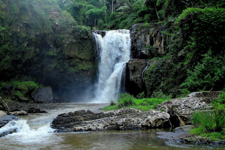 bali, Indonesia, Waterfalls, Cliffs, Jungle, River, Forest HD Wallpaper Desktop Background