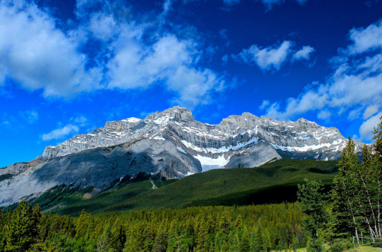 banff, Alberta, Canada, Forest HD Wallpaper Desktop Background